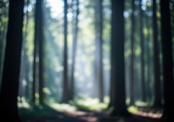 Ethereal Forest Sunlight Blur. Sunbeams pierce the tranquil woods, creating a luminous, diffused atmosphere. This serene natural setting evokes peace and a sense of wonder, offering a calming.