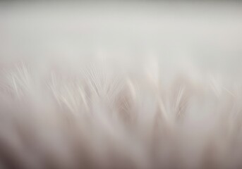 Obraz premium Delicate Soft Feather Background. Abstract view of fine plume texture creating a tranquil, pure ambiance. This serene image conveys airy lightness, warmth, and peaceful comfort.