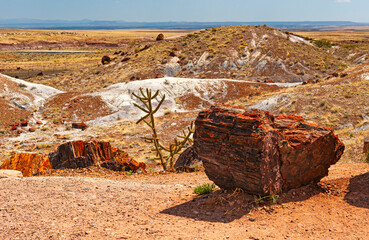 Petrified Forest National Park is a national park of the United States in Navajo and Apache...