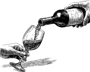Illustration of hand pouring red wine into a glass in black and white sketch style. Vector illustration