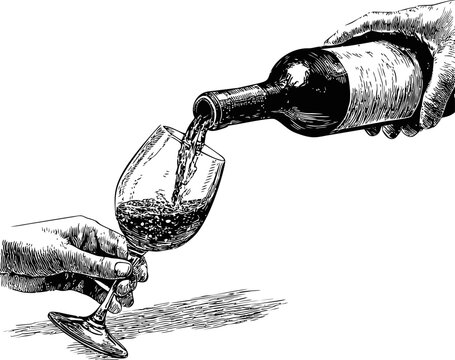 Illustration of hand pouring red wine into a glass in black and white sketch style. Vector illustration