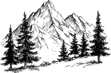 Mountain landscape with evergreen trees in detailed black and white. Vector illustration in sketch style