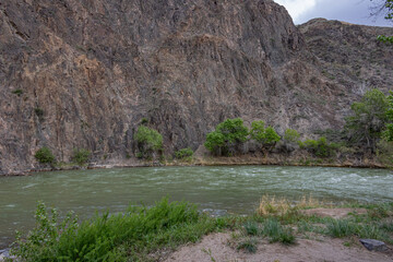 Charyn River in Kazakhstan flows swiftly through a rocky canyon with green bushes along the shore