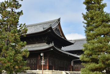 大本山妙心寺　佛殿と法堂(京都市右京区)