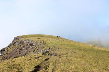 men walking on a hill in iceland