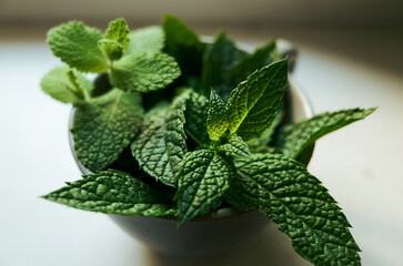 Bowl of fresh mint leaves