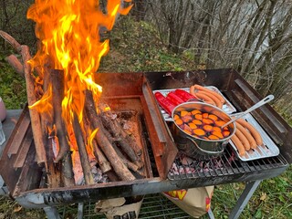 grilled meat on the grill