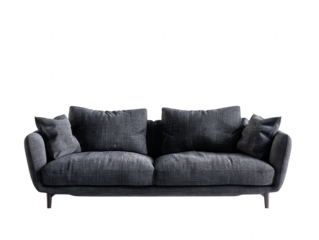 Comfortable Charcoal Gray Sofa with Plush Cushions on a White Background