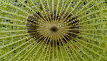 Abstract radial geometric pattern with green translucent lines forming a circular symmetrical design, futuristic digital art background, complex structure with depth and motion, modern abstract techno