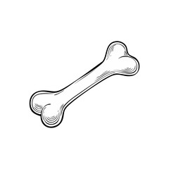 Vintage bone illustration in black and white