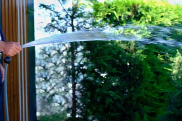 A gardener waters trees with a hose. Close-up of a man's hand pouring water from a hose. Pine trees...
