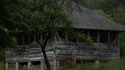 Old, abandoned, prairie house with trees and grass in Transcarpathian, Ukraine 