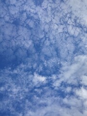 맑고 푸른 여름 하늘의 솜사탕 같은 구름