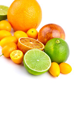 Assorted citrus fruits including oranges, limes, and kumquats arranged artistically on a white...