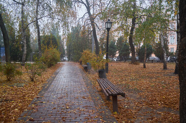 road in beautiful autumn park