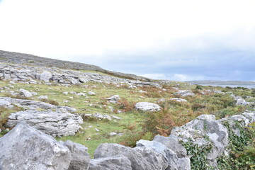 stone field near the sea with green fields
