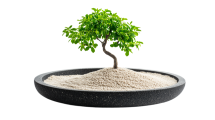 Bonsai tree stands prominently on a sand dune contained within a dark gray textured stone bowl.
