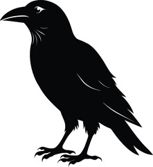 Raven Crow Silhouette | Gothic Bird & Magic Omen Symbol