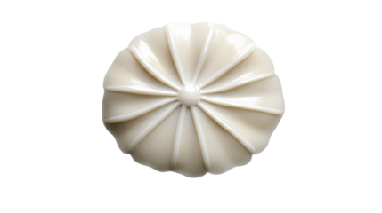 Ornamental disc showcases radial pattern with creamy color against a dark . - high quality Ornamental disc showcases radial pattern with creamy color