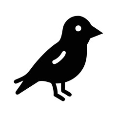 bird on a white background