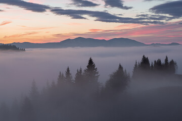 Fog landscape photography. Panorama with sunrise. Scenery with high mountains. Touristic place Carpathian national park, Ukraine Europe. Natural background.