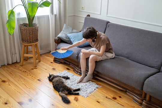 Tired caring woman fan overheating cat on floor in hot apartment with no AC. Pet owner struggle in summer in non ventilated room, struggle with high temperatures, indoor discomfort, pet care priority