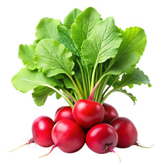 Radishes with Leaves Transparent Background