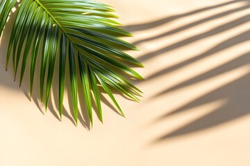 Fototapeta premium Tropical Palm Leaf Shadow on Sand Beach Summer Background