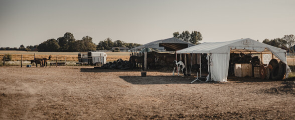 A large country square with tents and horses grazing in the distance, under a vast, bright sky, on a sunny summer day, ideal for horseback riding
