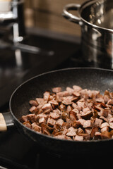 Pieces of sliced sausage or meat, fried in a pan, with the steel lid of the pot visible in the background, in the kitchen