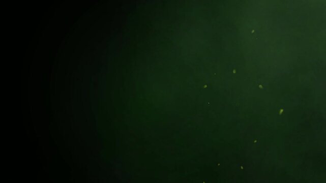 Mysterious dark green atmosphere with subtle light, evocative of deep forest or space.