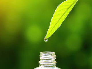 Green Leaf with Water Droplets Over Bottle
