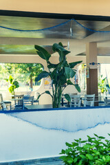 Tropical indoor café with green plants and white furniture