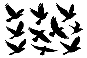 Obraz premium Silhouettes of Birds in Flight, Black Color Isolated on White Background