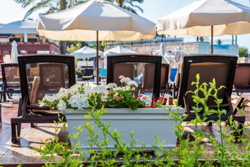 Sunny outdoor patio with umbrellas and flower planter at relaxing resort