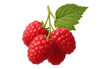 Ripe red raspberries displaying vivid color, single green leaf, transparent backdrop highlighting fresh, glossy surface