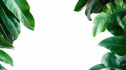 Naklejka premium Lush Green Tropical Leaves Frame White Background