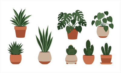 Fototapeta premium Houseplant Set with Variety of Green Leaves
