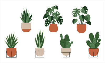 Green Plants in Clay and White Pots