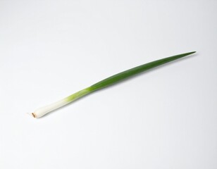 Fototapeta premium Green onion ねぎ 1