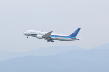 曇り空、今日も飛ぶ

