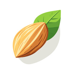 My A Simple flat 2D illustration almond nut with leaf isolated on transparent background, vector, flat design, animation design, simple flat 2D icon, clipart, flat 2D vector