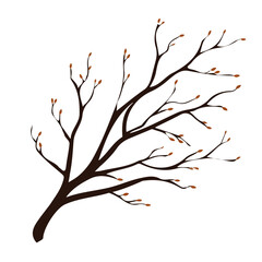 My A Simple flat 2D illustration branches dry isolated on transparent background, vector, flat design, animation design, simple flat 2D icon, clipart, flat 2D vector