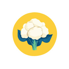 My A Simple flat 2D illustration white cauliflower isolated on transparent background, vector, flat design, animation design, simple flat 2D icon, clipart, flat 2D vector, design by me