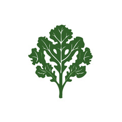 Naklejka premium My A Simple flat 2D illustration kale leaf isolated on transparent background, vector, flat design, animation design, simple flat 2D icon, clipart, flat 2D, design by me. My vector