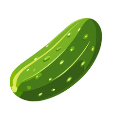 My A Simple flat 2D illustration whole cucumber isolated on transparent background, vector, flat design, animation design, simple flat 2D icon, clipart, flat 2D, design by me. My vector
