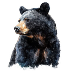 Black bear watercolor illustration isolated on PNG transparent background, great for wildlife, forest, or nature themes.