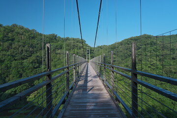 Shimane,Japan - June 28, 2025: A long suspension bridge over Oomaki river at Oni-no-shitaburui in Shimane, Japan at Sunrise
