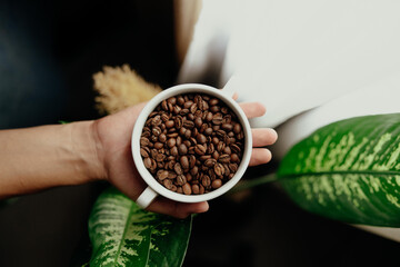 café en grano listo para moler