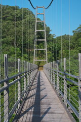 Shimane,Japan - June 28, 2025: A long suspension bridge over Oomaki river at Oni-no-shitaburui in Shimane, Japan at Sunrise
